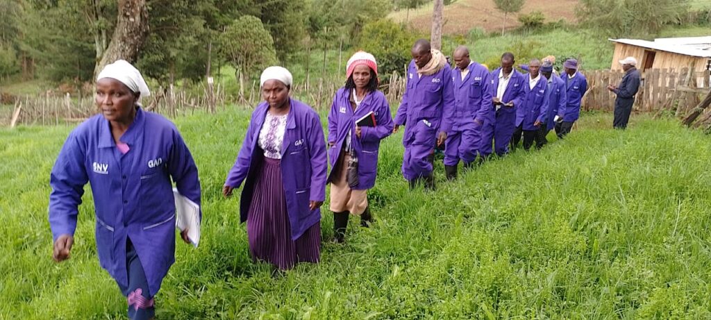 whatsapp image 2024 02 15 at 6.28.08 pm