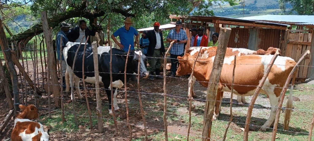 whatsapp image 2024 02 15 at 7.09.09 pm