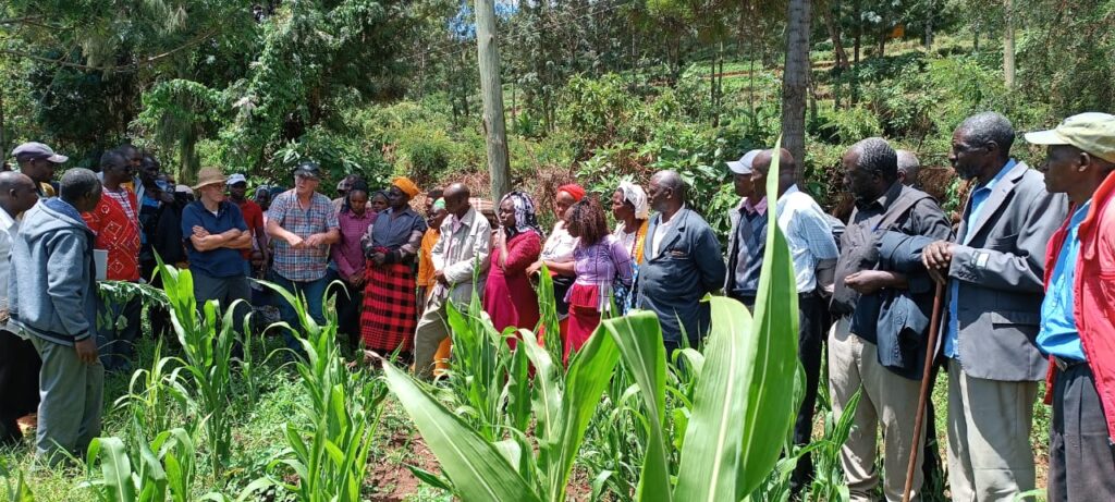 Kongasis zone Climate smart forages in Abossi Demo farm, Narok County, kenya
