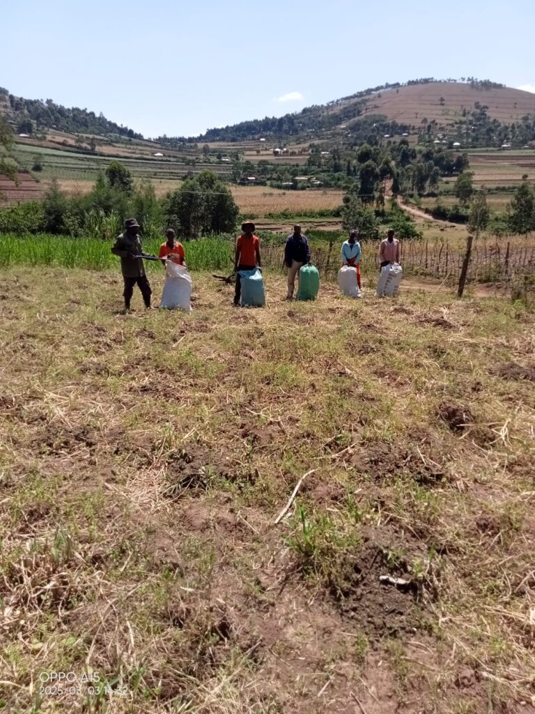 whatsapp image 2025 03 03 at 15.21.37 whatsapp image 2025 03 03 at 15.21.37