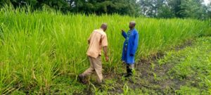 whatsapp image 2025 05 18 at 12.24.57