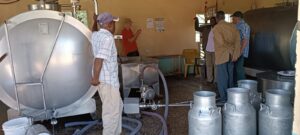 whatsapp image 2025 08 13 at 13.13.18