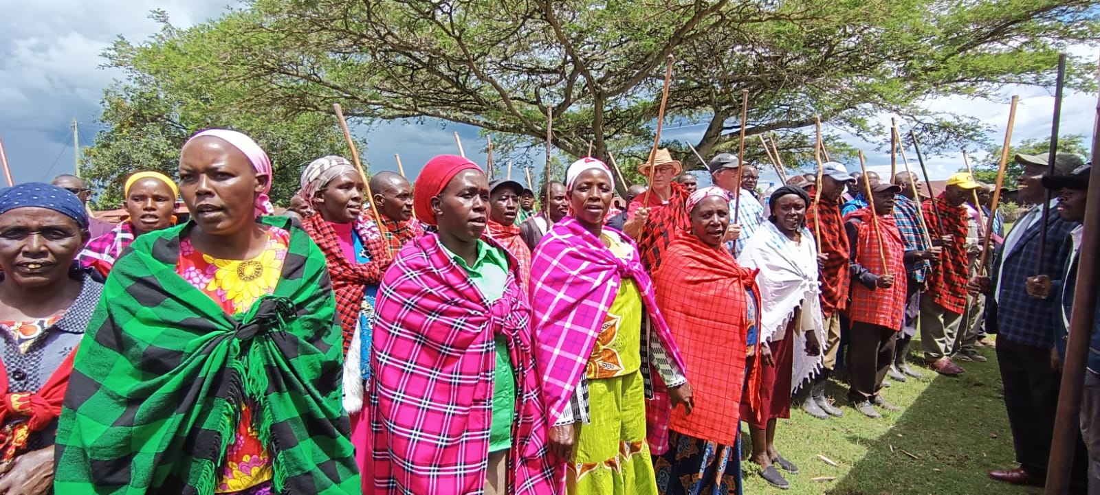 WhatsApp Image 2025 08 13 At 15.08.45